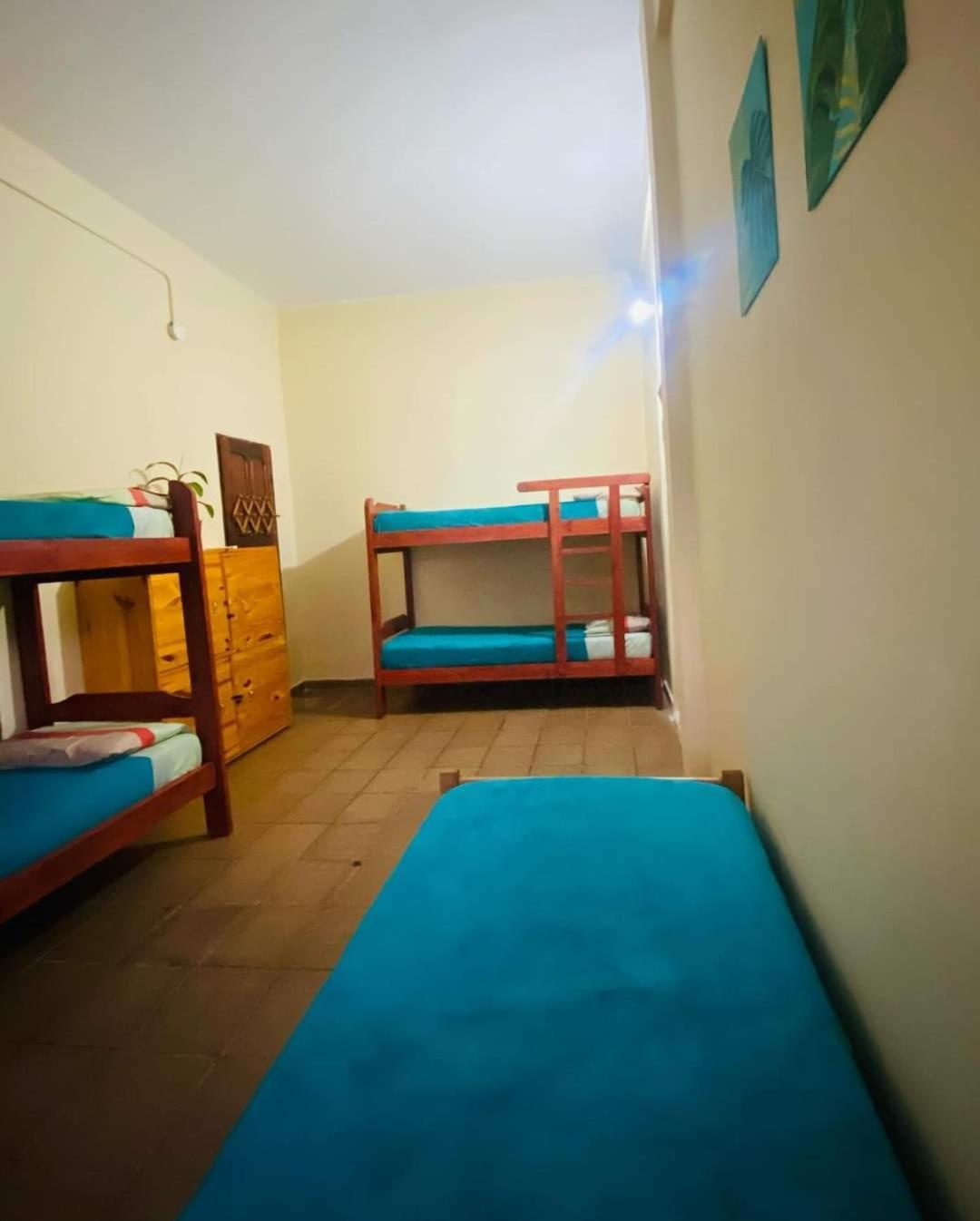 Benteveo Hostel Iguazu Пуерто Игуасу Екстериор снимка