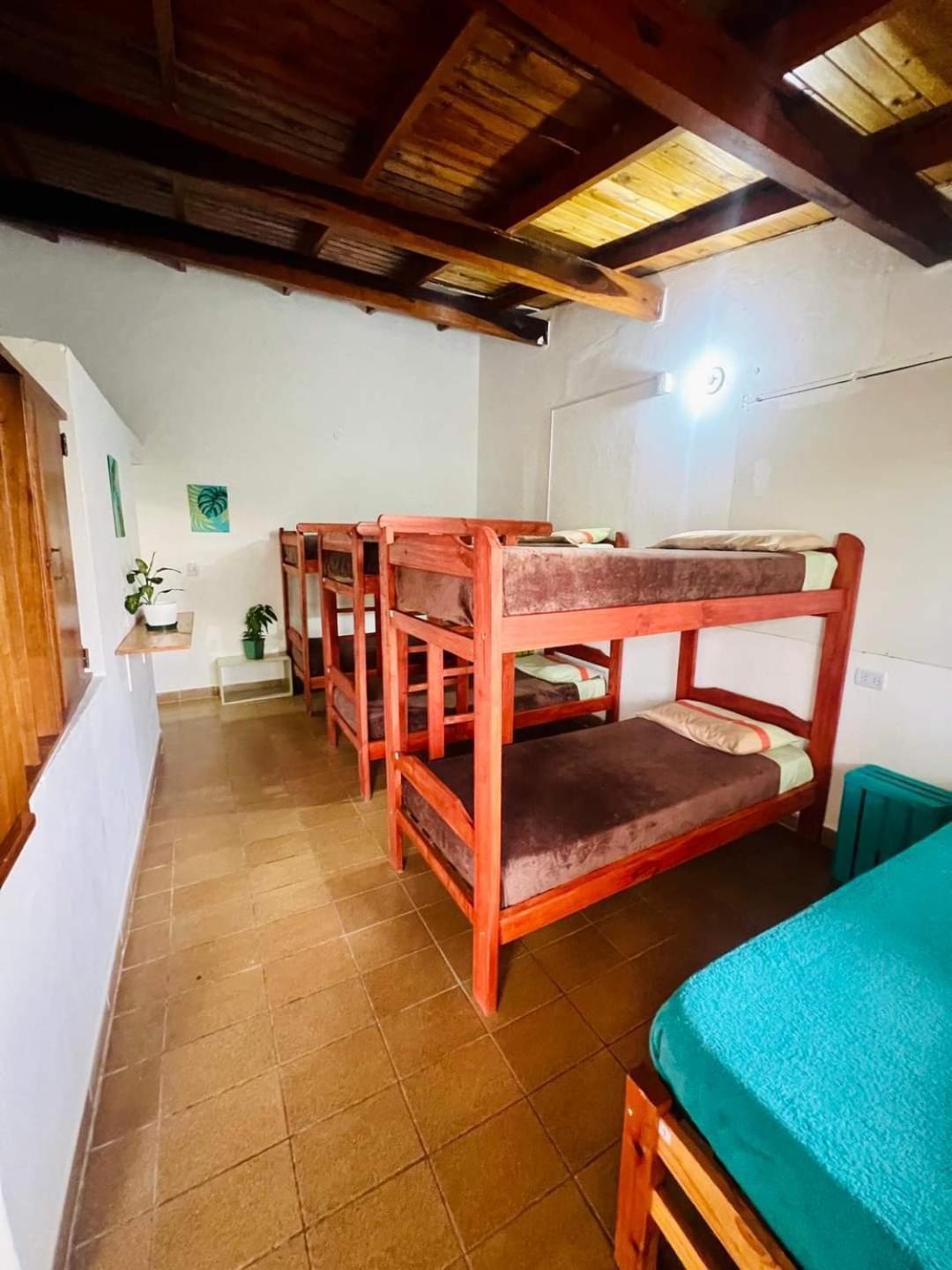 Benteveo Hostel Iguazu Пуерто Игуасу Екстериор снимка
