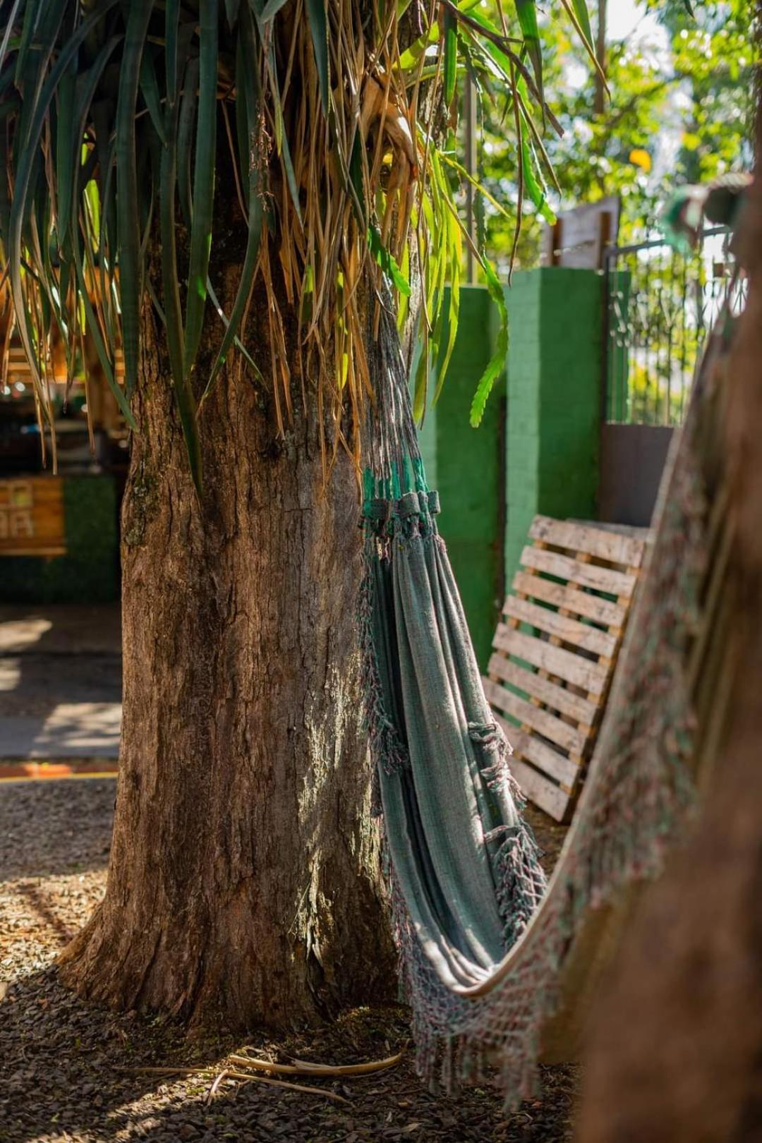 Benteveo Hostel Iguazu Пуерто Игуасу Екстериор снимка
